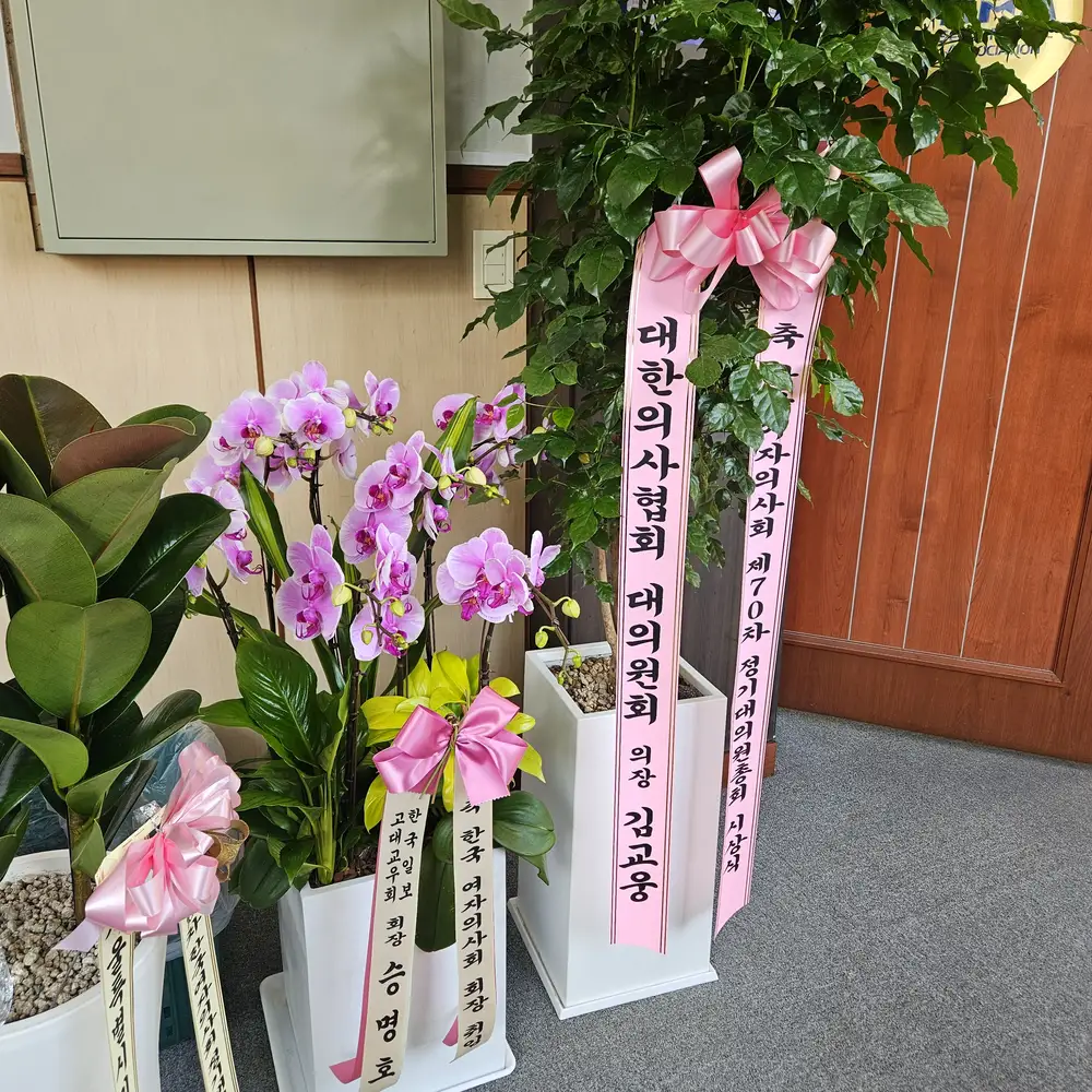 여의사회 총회 테이블별 도시락 정렬