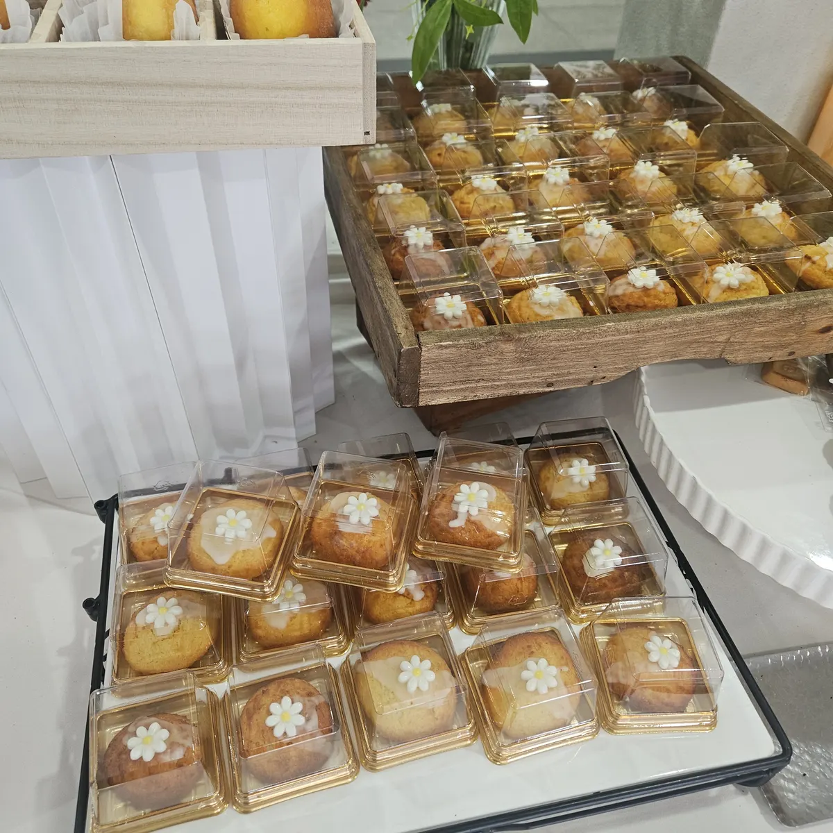학술대회 커피브레이크 & 고급도시락